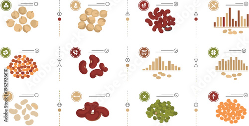 Beans varieties nutrition infographic set flat vector illustration legumes types with data charts protein information and healthy food icons