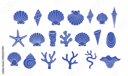 Decorative seashell and coral vector illustration for coastal theme.