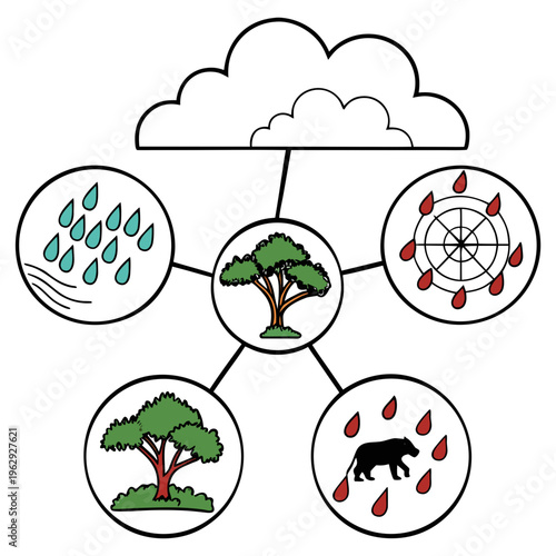 Acid rain causes harm to trees and animals