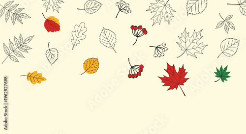 Scattered autumn leaves and berry clusters in colorful and line art styles on a light beige background for seasonal fall decorations.