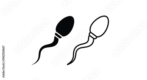 Simple black and white illustration of a human sperm cell