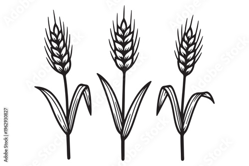 Minimal Wheat Icon Set in Line Style – Clean Outline Grain Symbols for Agriculture and Farming Design