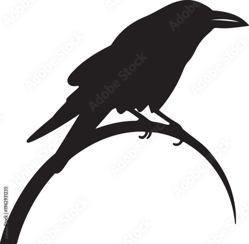 A black silhouette of a crow perched on a curved branch against a white background showcasing its distinctive beak and feathers in profile view