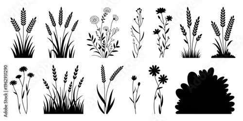 Black and white floral and wheat designs arranged in a visually appealing grid format Vector