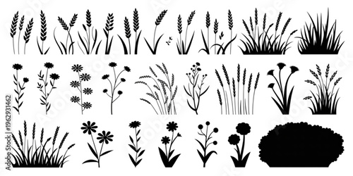 A diverse collection of black and white floral and wheat motifs arranged in a visually appealing manner Vector