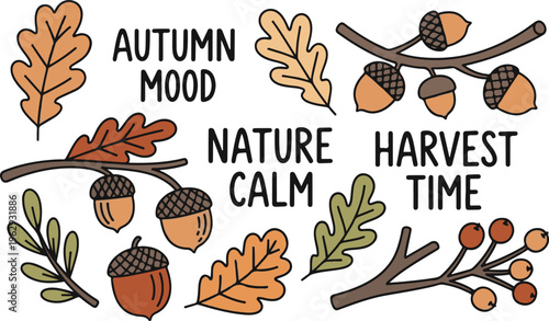 Oak Leaves and Acorns Autumn Botanical Fall Nature, Illustration Cartoon Collection