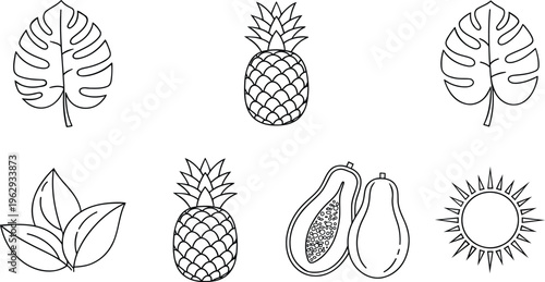 A set of six black and white illustrations of tropical fruits and leaves isolated on transparent background