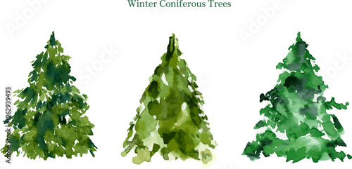 冬の木のイラストセット、水彩による針葉樹、クリスマス素材
