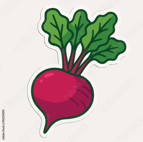 Delicious cartoon illustration of a single vibrant red beetroot vegetable with bright green leafy tops sticker