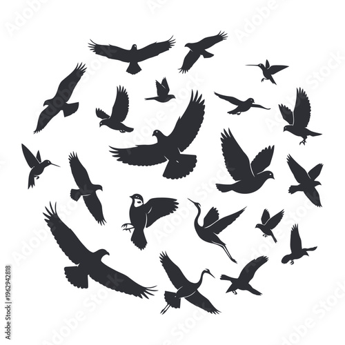 Flying birds silhouette flock circle
