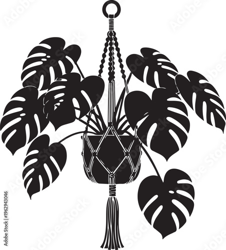 Black and white of a potted monstera plant in a macrame hanger