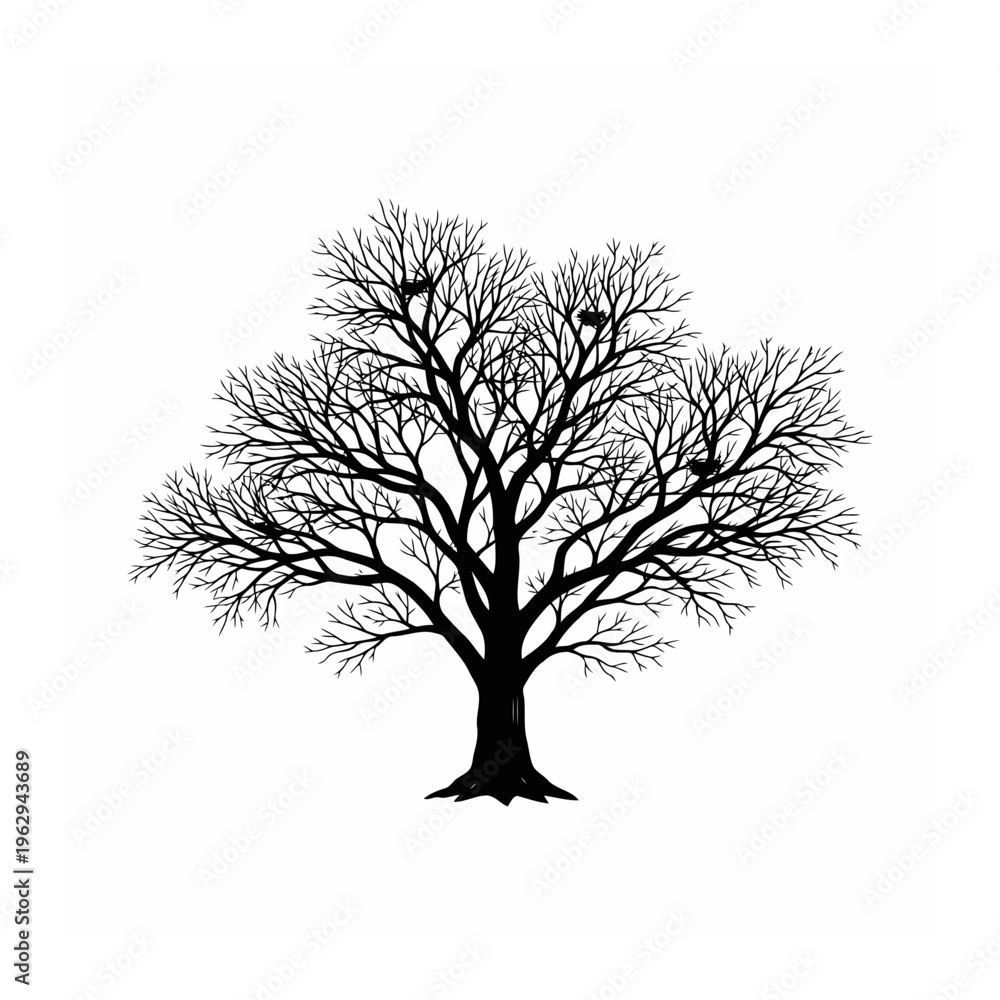 Fototapeta premium Leafless tree black outline with tree trunk