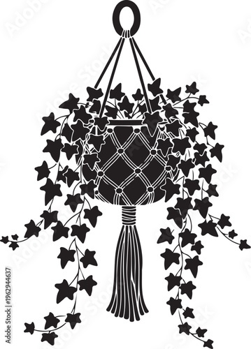 Black hanging plant with ivy and tassel macrame