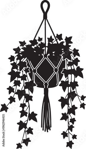 Black silhouette hanging plant with ivy macrame hanger