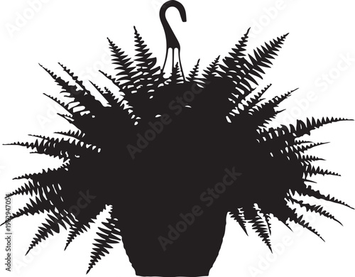 Black silhouette of a hanging fern plant