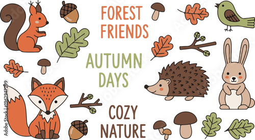 Woodland Animals Autumn Fall Forest Friends, Illustration Cartoon Collection