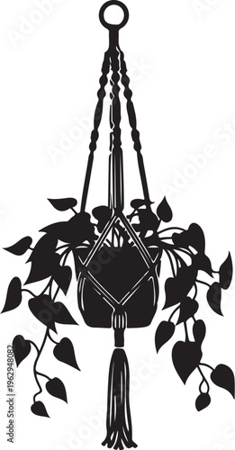 Black silhouette of a hanging plant with heart shaped leaves