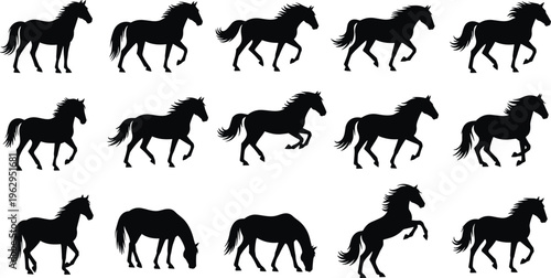 Silhouette of Horses in Various Stances: Running, Walking, Grazing, and Leaping for Animal and Equestrian Illustrations