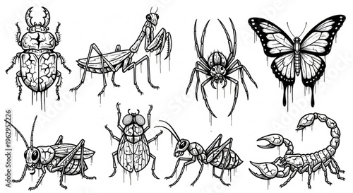 Urban Graffiti Insects and Bugs Vector Illustration Sheet in Black Ink Grunge Punk Street Art Style