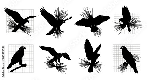 Collection of bird silhouettes in various poses on grid background for design and illustration