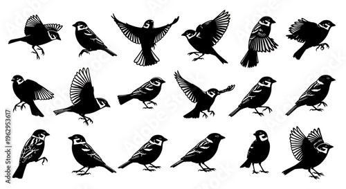 Collection of black bird silhouettes in various poses on white background for design and decoration