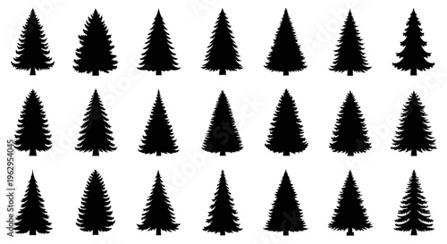 Collection of black pine tree silhouettes on white background for design and decoration