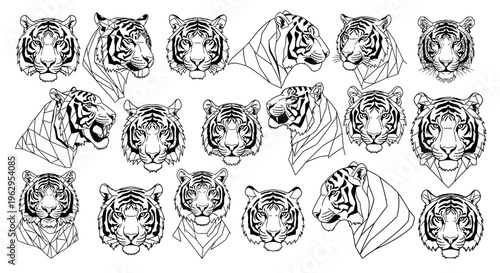 Detailed black and white tiger head illustrations with various expressions on white background