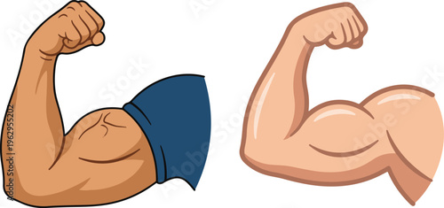 Cartoon illustration of flexed muscular arms showing biceps strength, with and without sleeve, symbolizing fitness, power, and bodybuilding.