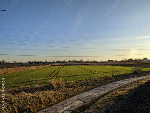 Rural landscape featuring vibrant green cultivated fields beneath a vast, clear blue sky at sunset