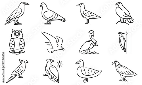 Birds icon set. Set of different birds. Modern trendy abstract fowl sparrow, dove pigeon figure illustration. 