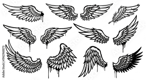Urban Graffiti Wings and Feathers Vector Illustration Sheet in Black Ink Grunge Punk Street Art Style