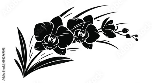 Stylized black orchid flowers and elegant leaves are depicted in a minimalist silhouette vector illustration, suitable for decorative design elements and branding.