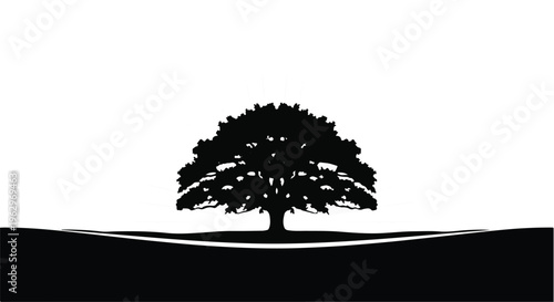Deciduous tree silhouette with a broad canopy stands prominently on a stylized horizon line, contrasting against a clean white sky.