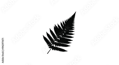 Fern leaf silhouette, rendered in solid black, displays its delicate fronds against a pristine white background, perfect for minimalist natural designs and decorative elements.