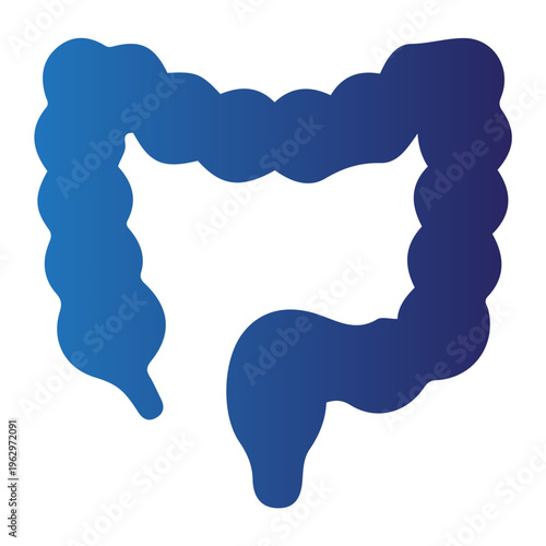 The large intestine is illustrated in gradient blue colors on a white background