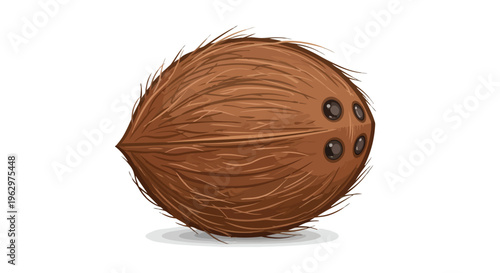 Isolated illustration of a whole brown coconut, highlighting its natural fibrous texture and three dark eyes, on a pure white background. Perfect