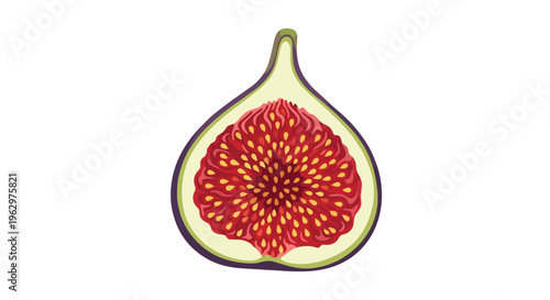 Vibrant crimson interior of a freshly sliced common fig illustrating the intricate seed pattern and juicy pulp against a smooth pale green skin
