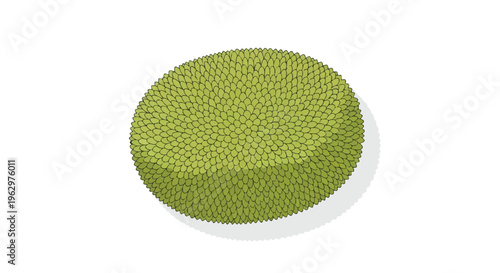 Vibrant green spiky fruit or plant element in minimalist vector illustration style for tropical designs and nature themes