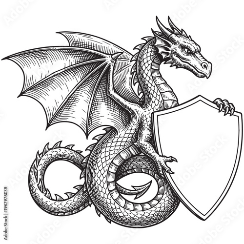 Mythical dragon holding a blank heraldic shield vintage sketch illustration