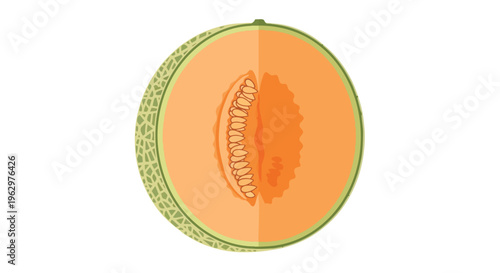 Vibrant halved cantaloupe melon in a clean flat design illustration showcasing its fresh interior and sweet seeds