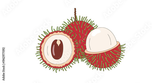 Vibrant tropical rambutan fruits illustration showcasing a halved view revealing its sweet core