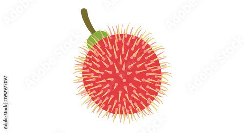 Vibrant tropical rambutan fruit illustration with a distinctive hairy red skin and green stem a delicious and unique Asian produce vector art design