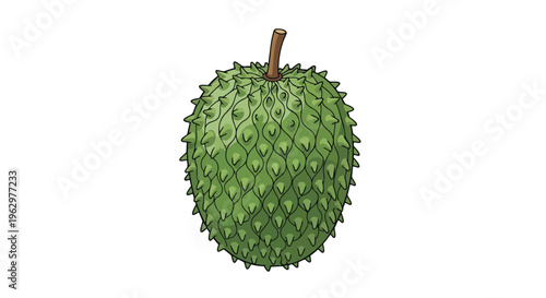 Green tropical fruit illustration with distinctive spiky texture and stem, isolated on pure white. Ideal for health, food, and natural product