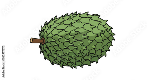 Vibrant digital illustration of a fresh green soursop, showcasing its characteristic spiky skin and a brown stem, cleanly isolated on white, ideal