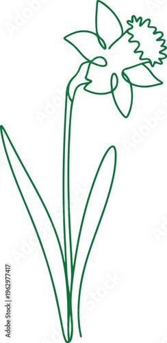 A minimalist single line illustration of a blooming daffodil flower with green leaves and stem, showcasing elegant simplicity