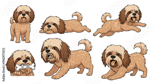 Cartoon Tibetan Terrier dog in various playful poses on white background  