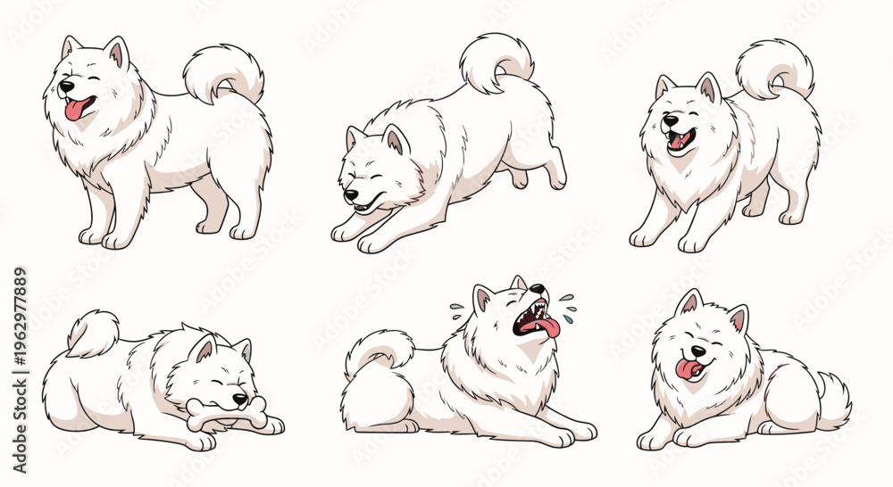 Obraz premium Samoyed dog in various playful poses on a clean white background 