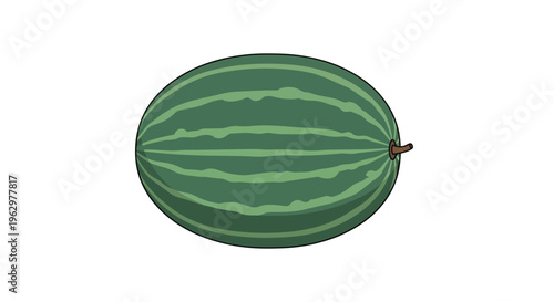 A vibrant green striped watermelon illustration on a clean white background showcasing its refreshing natural form perfect for summer designs and
