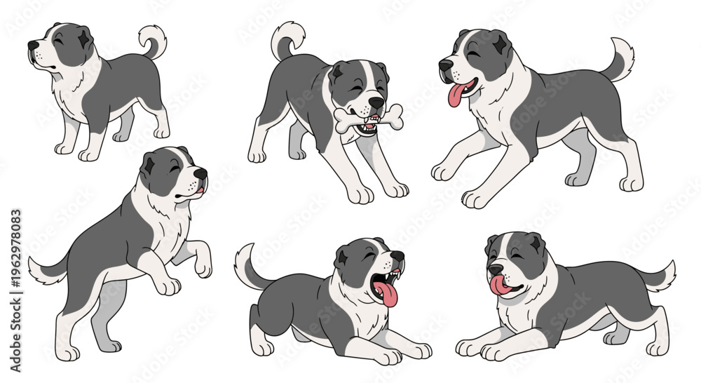 Obraz premium Central Asian Shepherd Dog in various playful poses and expressions 