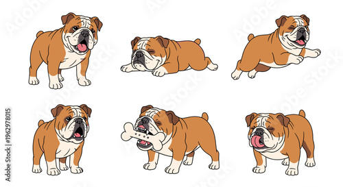 Cartoon English Bulldog with various playful expressions and poses  